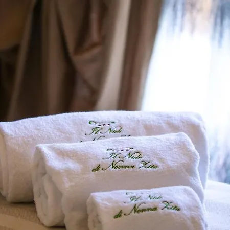 Il Nido Di Nonna Zita Apartment *